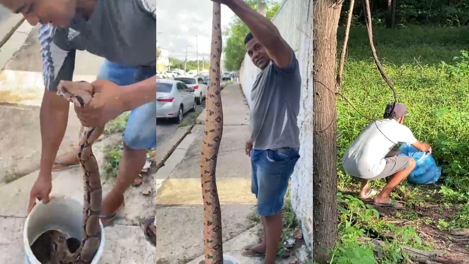 foto Not&iacute;cia Teresina