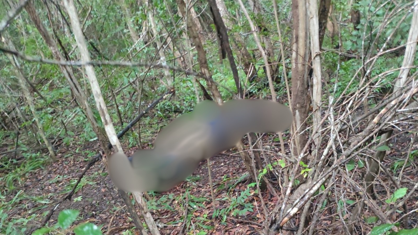 foto Not&iacute;cia Teresina