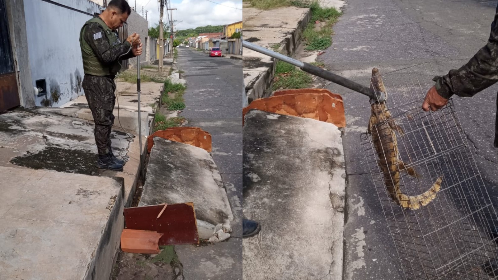 foto Not&iacute;cia Teresina